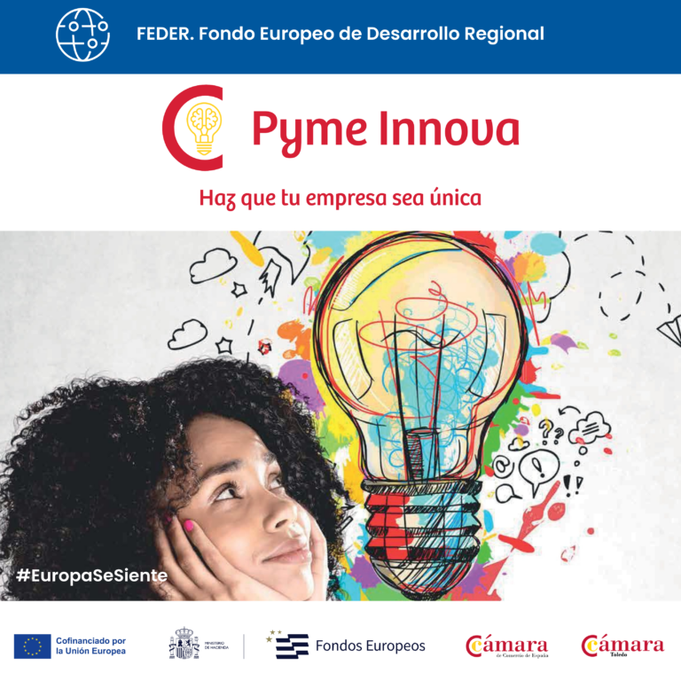 Programa Pyme Innova 2024 Cámara Oficial de Comercio Industria y