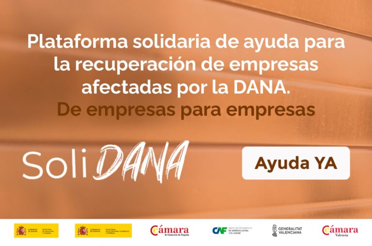 Lee más sobre el artículo Solidana.es, la plataforma de ayuda entre empresas