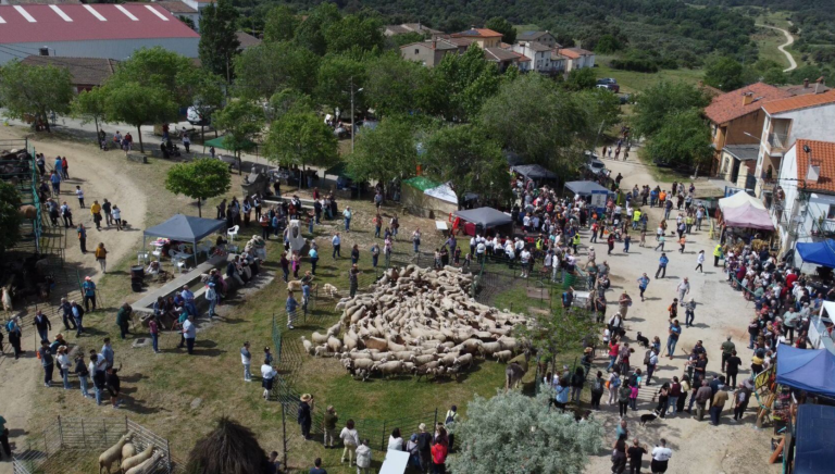 Lee más sobre el artículo Éxito rotundo de la III Feria de la Trashumancia “Raíces de Pueblo”, que consolida su crecimiento como referente en la provincia